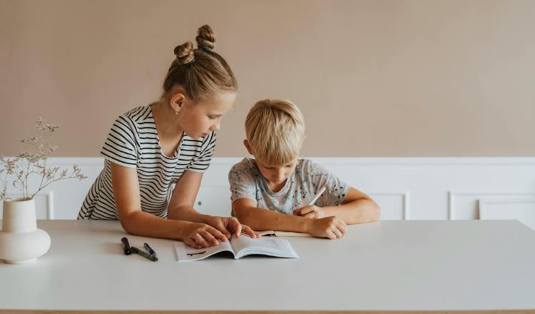 Schoolwork: How to help them?