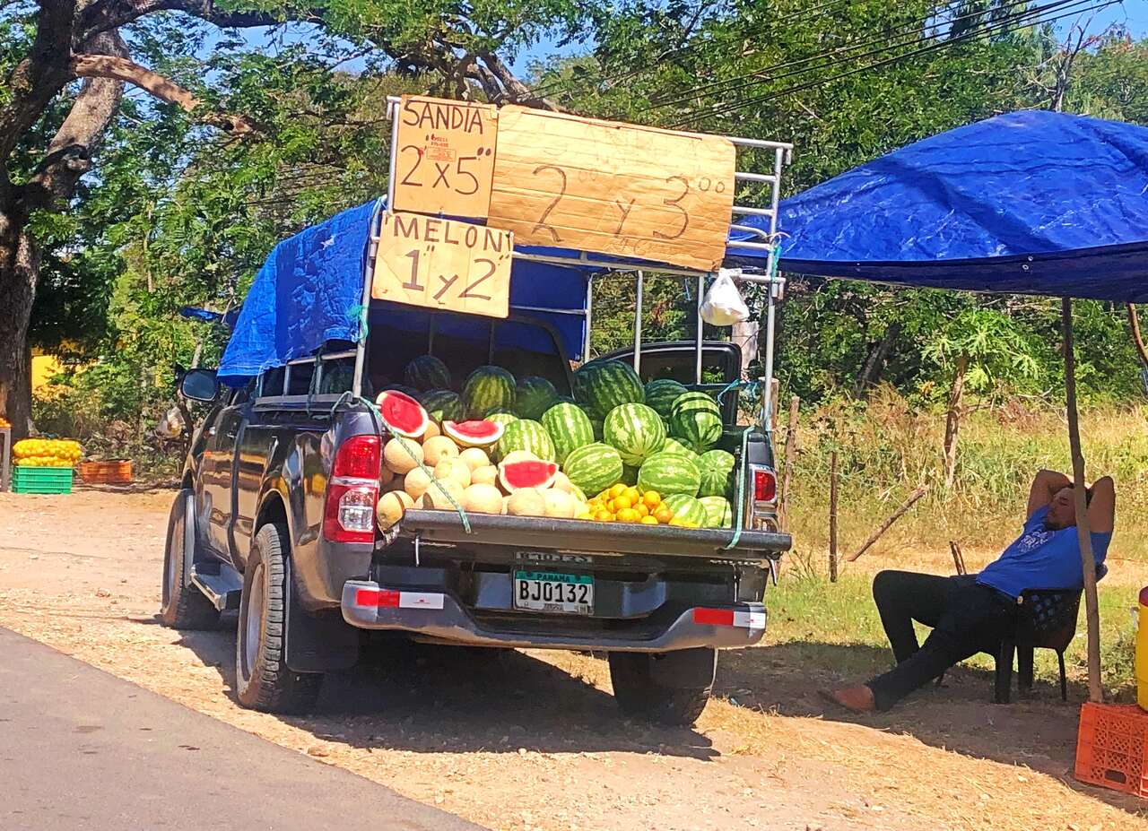 La sandía, fruta reina del verano, se vende muy bien localmente y en otros mercados. Foto/ Thays Domínguez