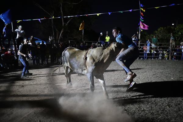 Jóvenes participan de una corrida de toros este sábado, durante el Festival Folclórico Nacional de La Mitra.