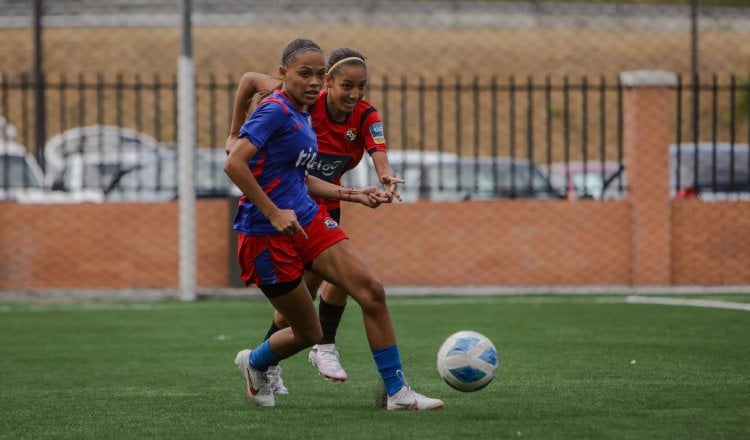 Panamá Femenina Sub-23 y mayor se medirá en dos juegos amistosos ante Marruecos. Foto: Fepafut