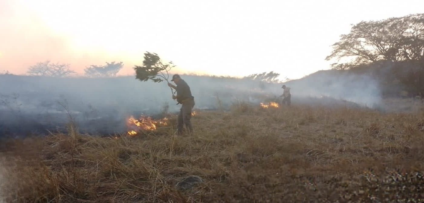 Los incendios de masa vegetal han ido en aumento. Foto. Cortesía