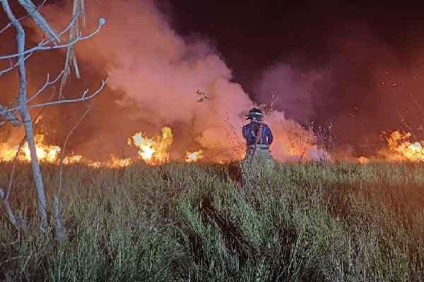 Los 13 miembros de este equipo solo disponen de bombas de mochila, rastrillo McLeod, hacha-azada y mata fuego, entre otros. Foto. Cortesía