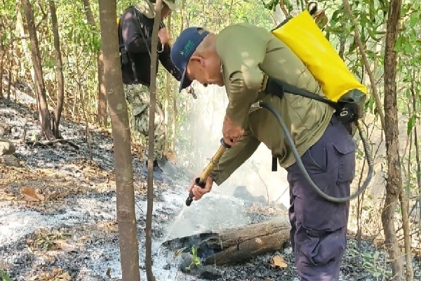 Trabajaron por varias horas para controlar el incendio. Foto. Cortesía