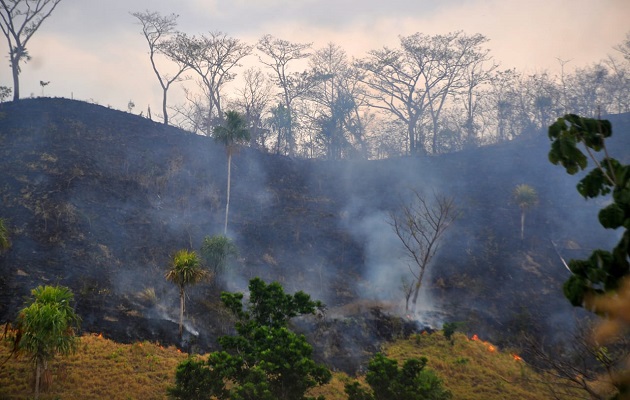 La deforestación en las zonas cercanas a Chucantí no se detiene.  Foto: Cortesía Adriano Duff/Zona Verde