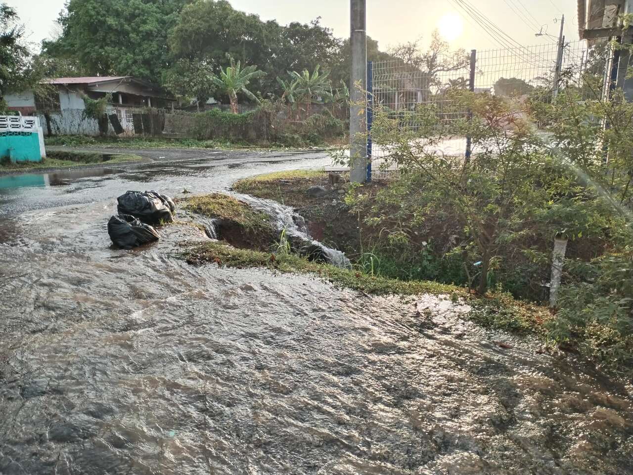 Foto/Cortesía de residentes