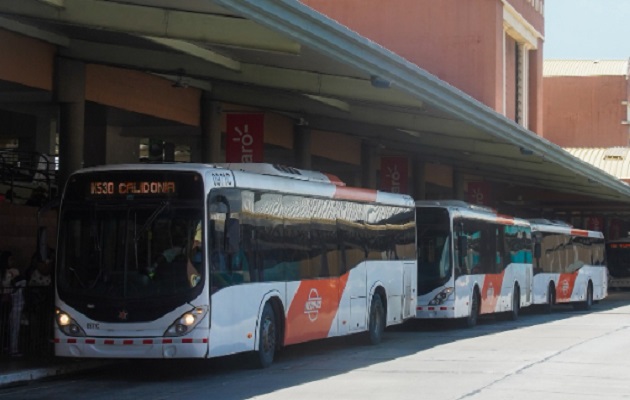 MiBus apunta a reducir la brecha salarial de género. Foto: Cortesía