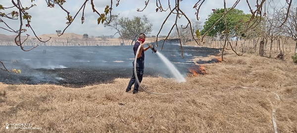 En abril los incendios no han cesado como el de la foto, registrado en Sabana Grande, Los Santos. Foto: Cortesía Bomberos