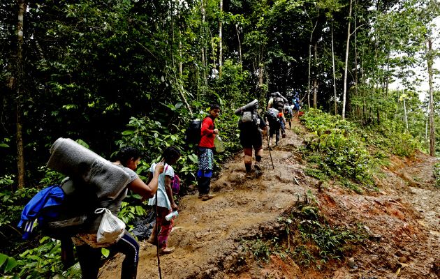 Migrantes irregulares siguen exponiendo sus vidas cruzando la selva del Darién. Foto: Archivo