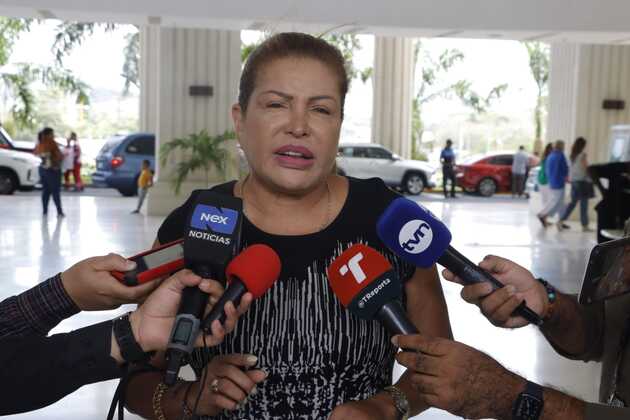 Alma Cortés pidió al Tribunal Electoral tomar cartas en el asunto. Foto: Víctor Arosemena 