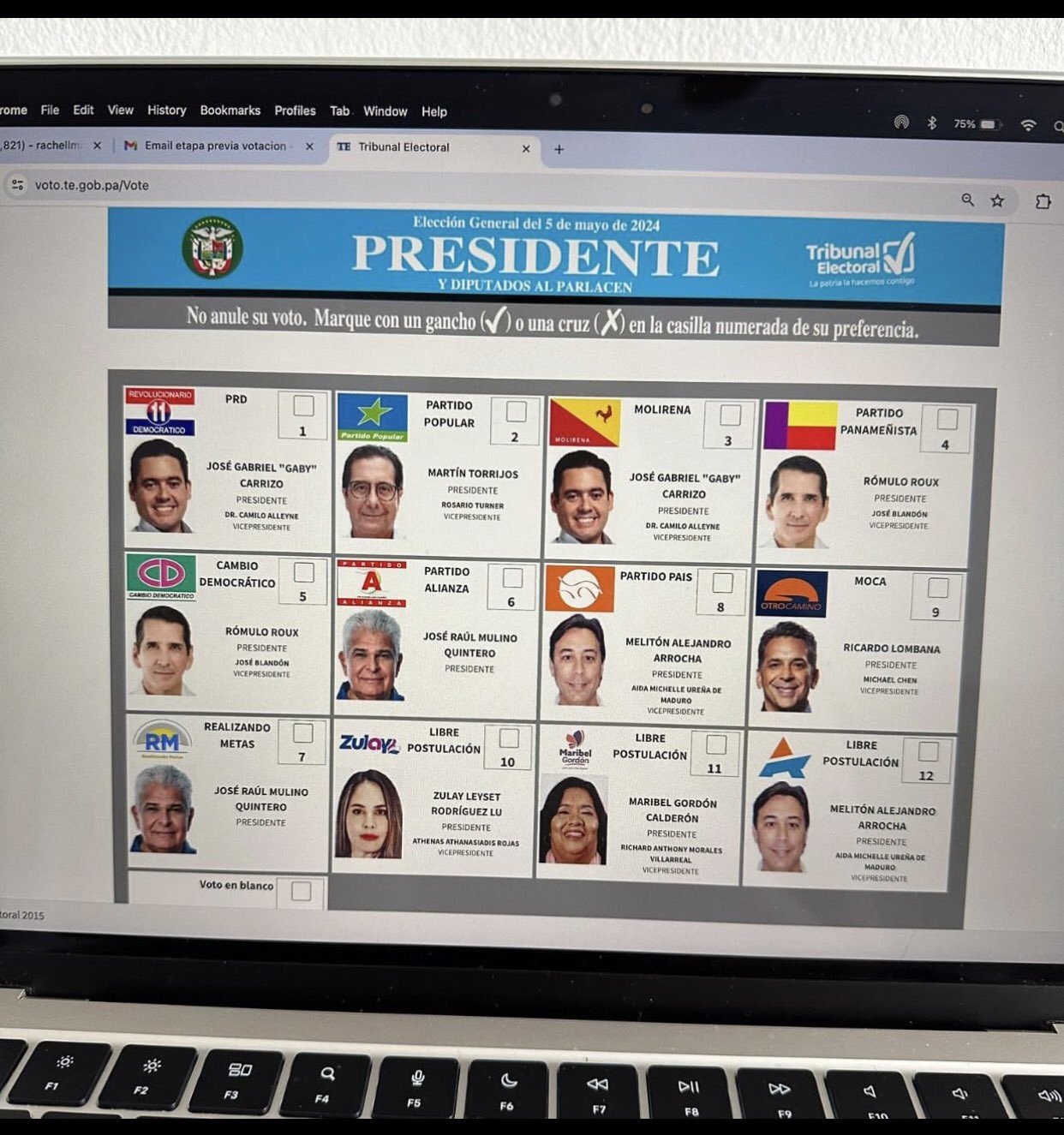 En la papeleta física, así como en la de votación electrónica, el candidato Mulino debe aparecer en la posición 7, por el partido RM. Archivo.