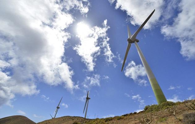 La transición hacia una economía más verde puede  abrir nuevas oportunidades de negocio en sectores como las energías renovables. Foto: EFE