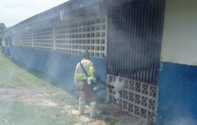 Las autoridades mantienen las nebulizaciones para eliminar el mosquito adulto. Foto: Cortesía Minsa