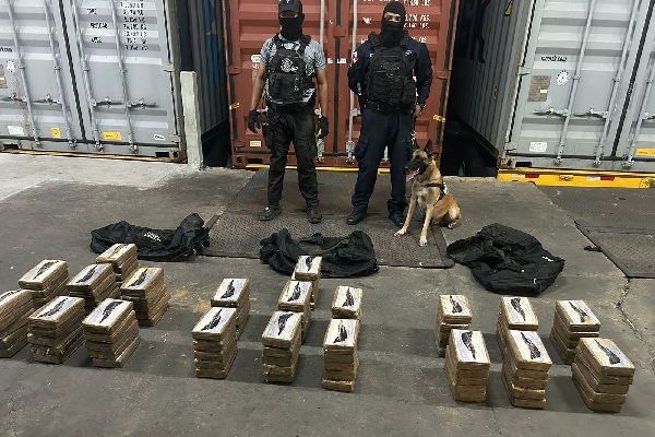 La droga estaba forrada en color crema y en su parte superior identificado con un avión de guerra. Foto. Proteger y Serrvir