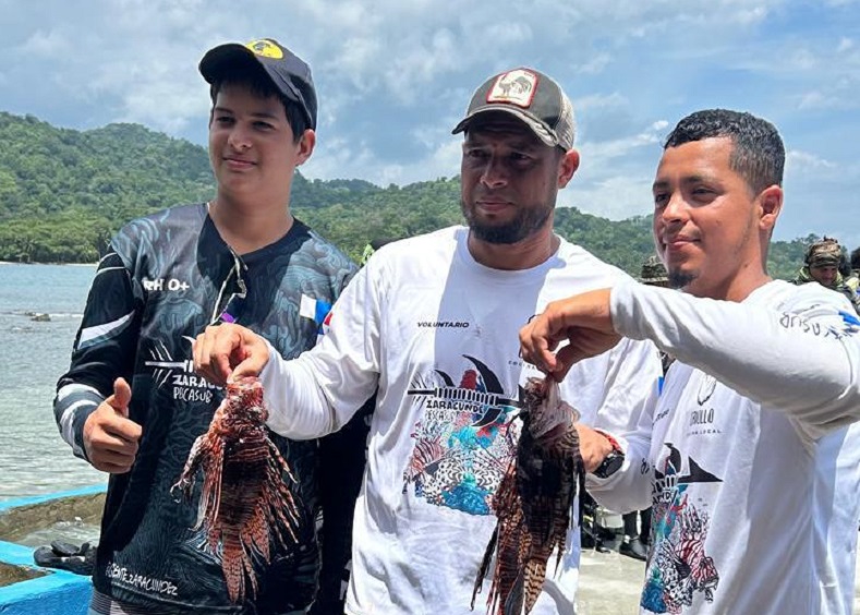 Este tipo de eventos está encaminado a capturar este animal acuático conocido como el “pirata del Caribe