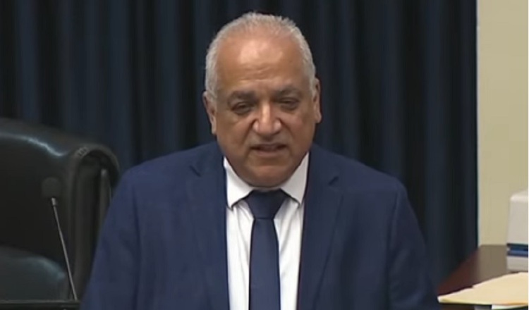 El diputado oficialista presentó su anteproyecto en la sesión del pasado lunes, 29 de julio. El diputado oficialista presentó su anteproyecto en la sesión del pasado lunes, 29 de julio.
