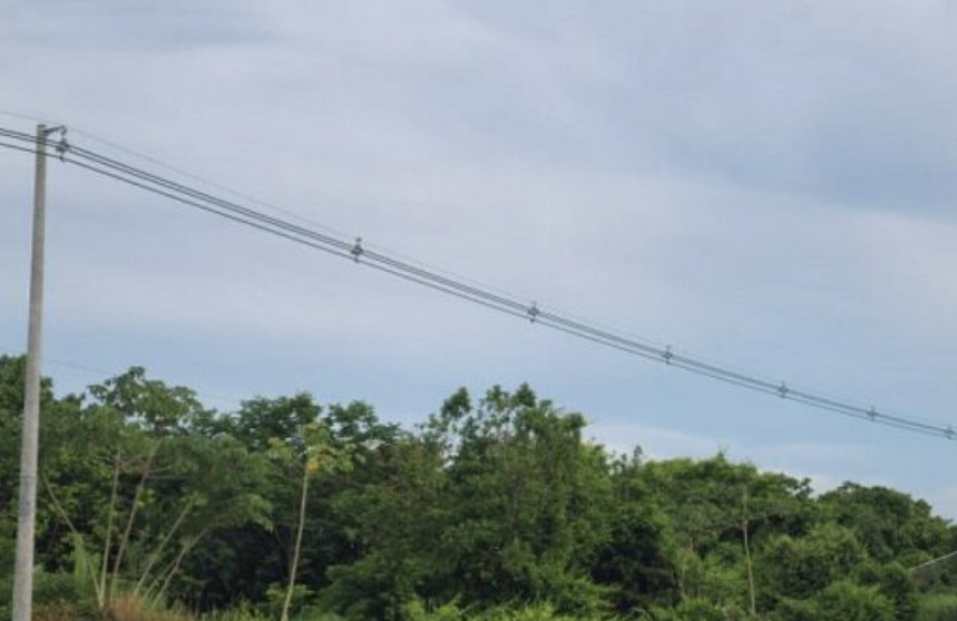 Los restos de una cometa entraron en contacto con la línea eléctrica. Foto: T