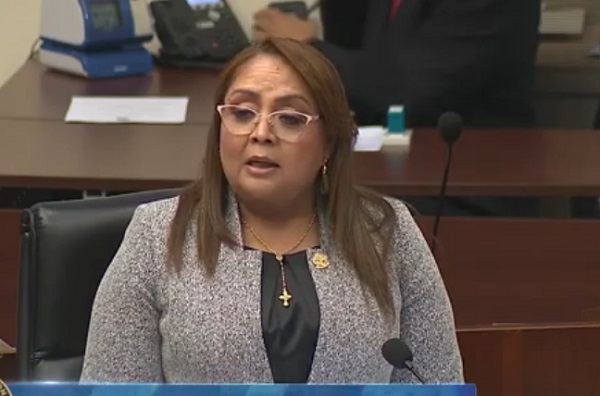 Dana Castañeda es la proponente del proyecto.