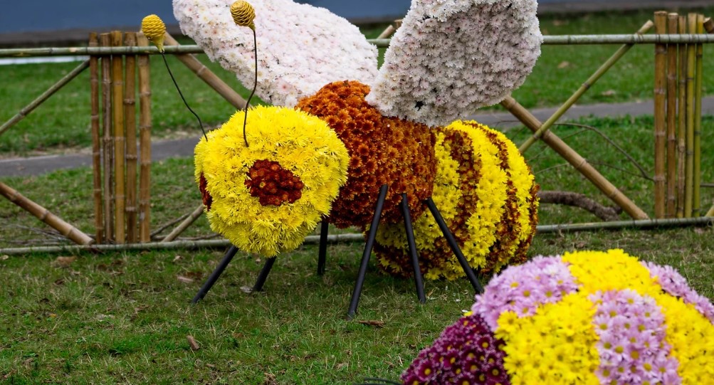 Motivan a turistas a visitar la octava Parada de las Flores en Tierras Altas