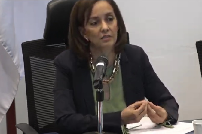 La diputada proponente, Yarelis Rodríguez.