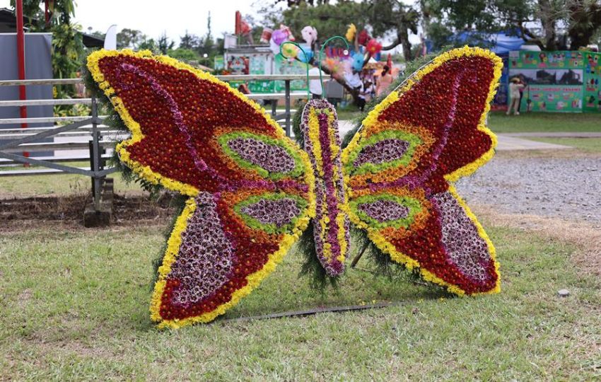 Mariposa hecha de flores. Foto: EFE Mariposa hecha de flores. Foto: EFE
