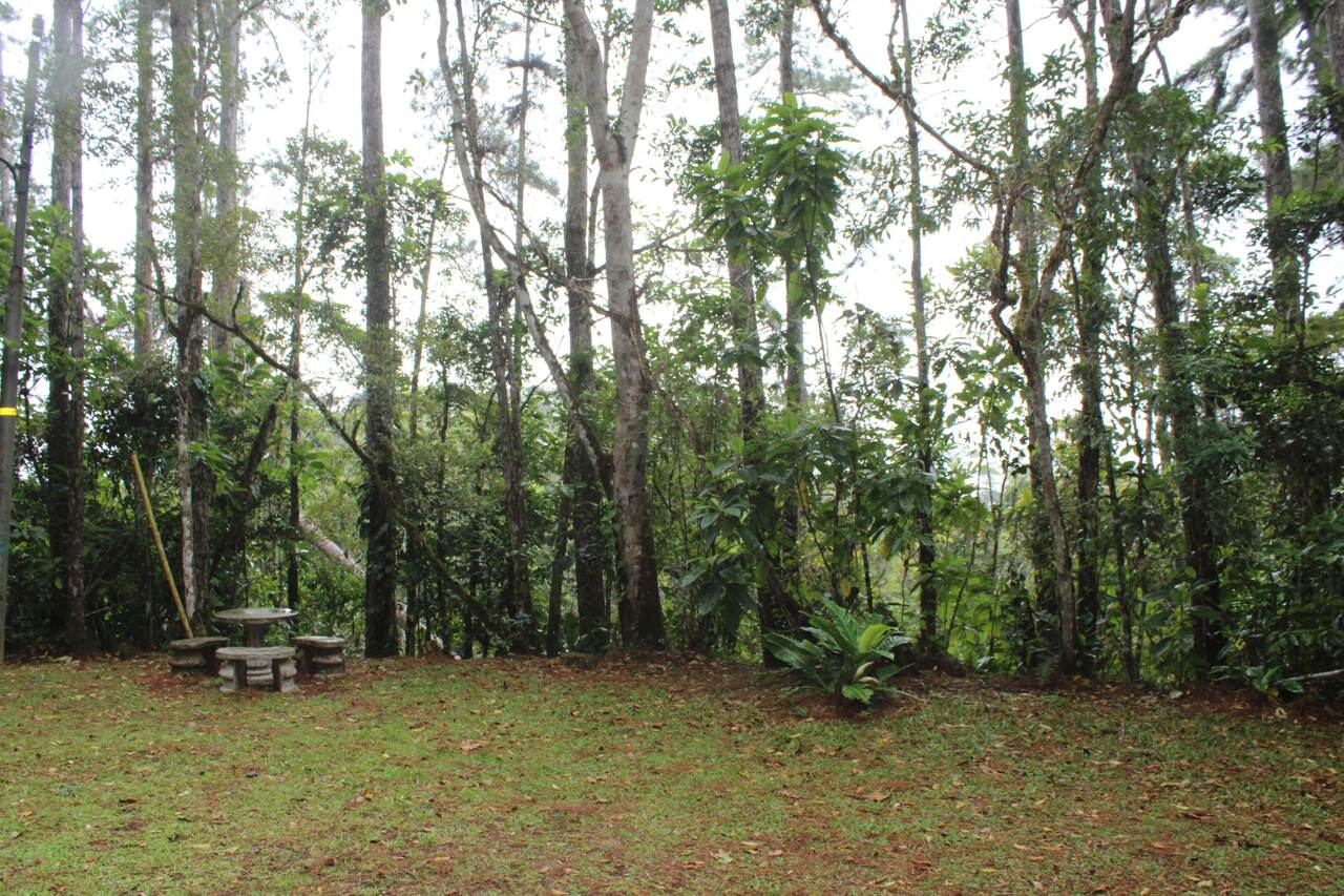 Parque Altos de Campana será mejorado por MiAmbiente