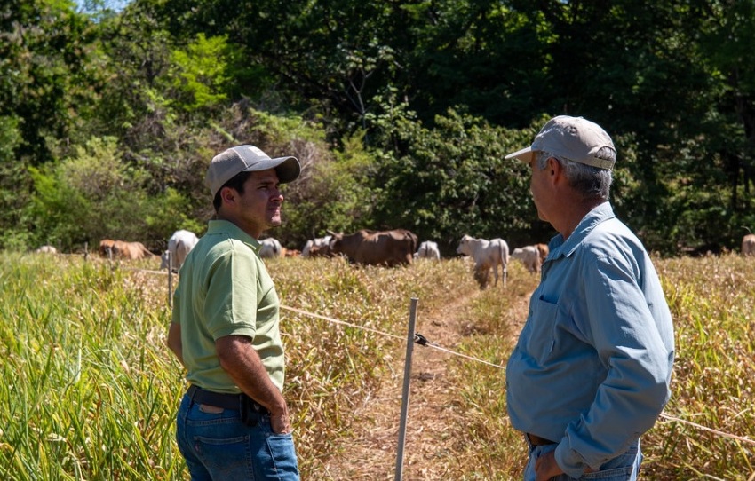 Mejorar la productividad sin comprometer el medio ambiente. Foto: Cortesía/FAO Mejorar la productividad sin comprometer el medio ambiente. Foto: Cortesía/FAO
