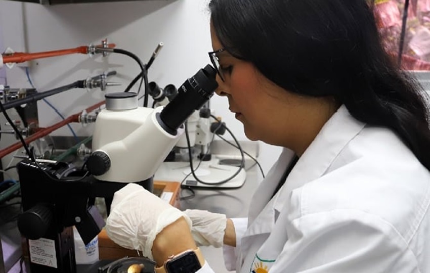 En el trabajo en laboratorio se aborda la detección de toda clase de patógenos y residuos. En el trabajo en laboratorio se aborda la detección de toda clase de patógenos y residuos.