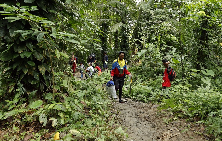 Los migrantes tendrán un salvoconducto por 72 horas. Foto: EFE