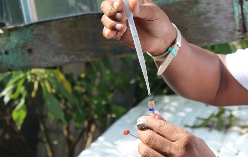 Es importante la eliminación de criaderos de mosquitos. Foto: Archivo