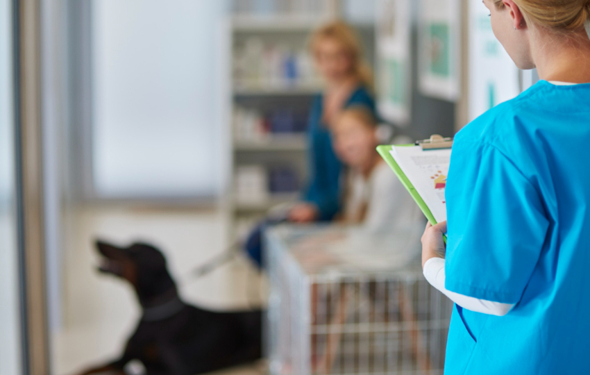 Será el primer hospital veterinario público. Foto: Ilustrativa / Freepik