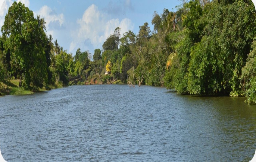 Lago de Río Indico. Foto: Cortesía