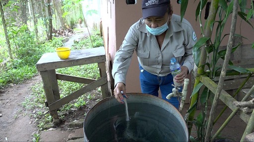 Esta enfermedad se transmite a los seres humanos por la picadura de mosquitos hembra del género Anopheles. Foto: Cortesía