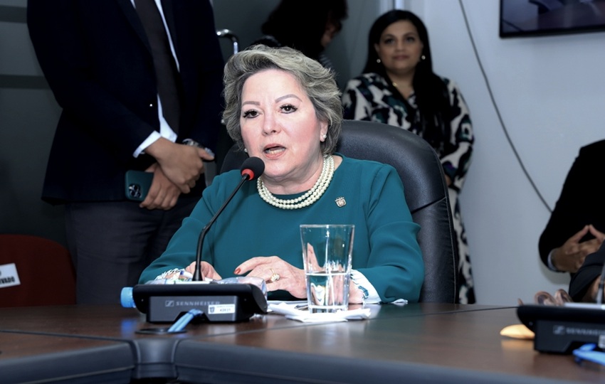 María Eugenia López Arias compareció ante la Comisión de Presupuesto. Foto: Asamblea Nacional