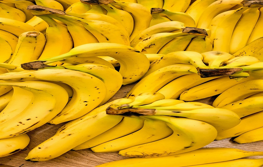 El banano es uno de los productos que más exporta Panamá a los mercados internacionales. Foto: Pexels.