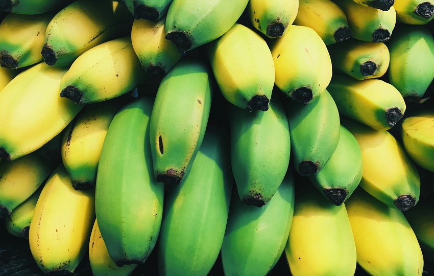 Empresa Chiquita Panamá cerró dos fincas bananeras. Foto: Pexels