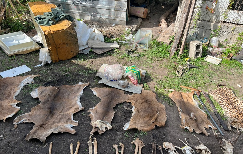 El director regional de MiAmbiente, en la provincia de Coclé, John Trujillo, informó que se iniciarán los procesos administrativos y penales. Foto. Mi Ambiente