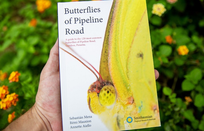 Libro Butterflies of Pipeline Road. Crédito: Cortesía/Jorge Alemán