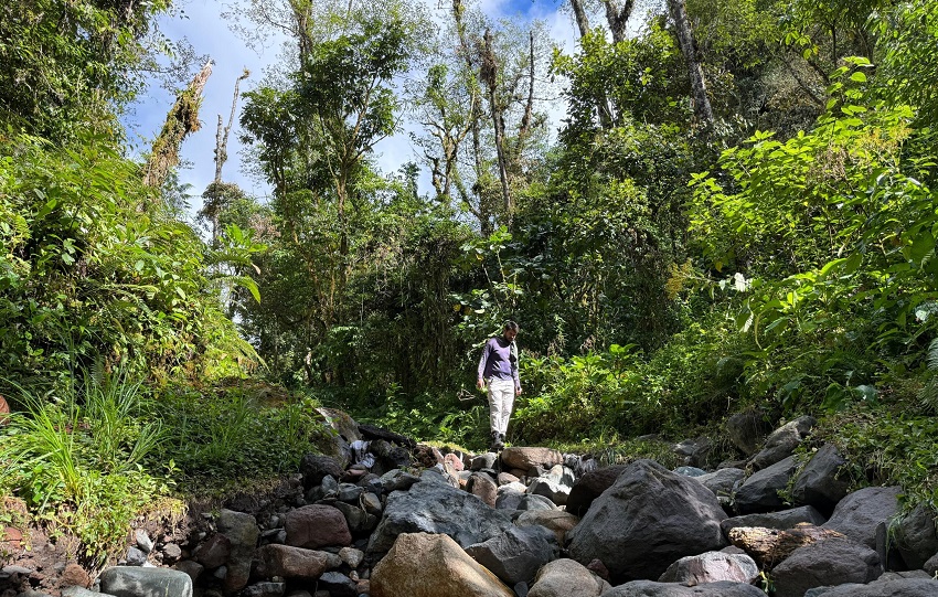 En cuanto al acceso general al Parque Nacional Volcán Barú, este se mantiene abierto para los visitantes, salvo que el Sistema Nacional de Protección Civil (Sinaproc) determine otra medida. Foto. Cortesía MiAmbiente