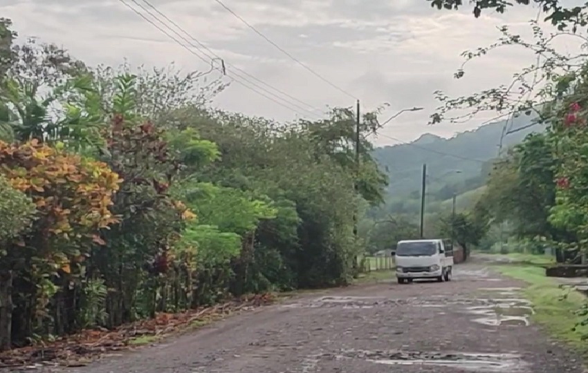 La medida adoptada por la empresa eléctrica de podar los árboles próximos al tendido eléctrico no ha dado el resultado esperado. Foto. Eric Montenegro