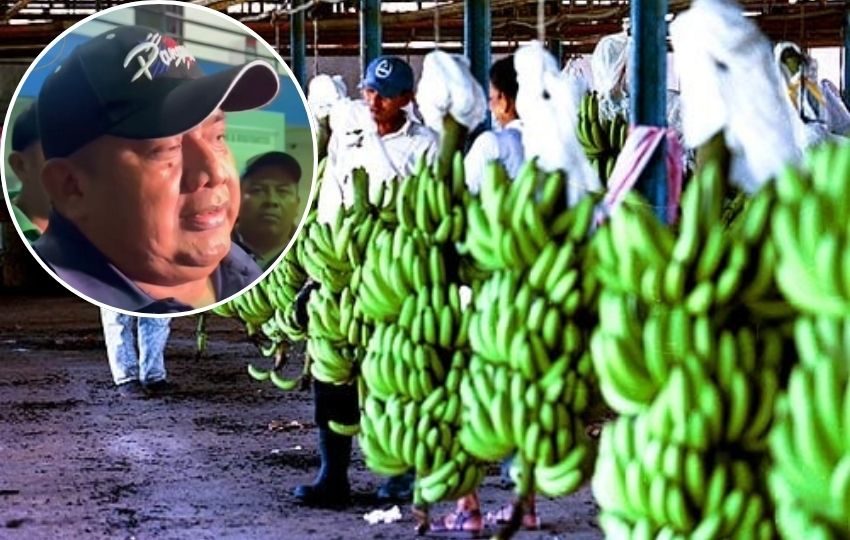 Bananeros anunciaron que la huelga se mantiene. Foto: Epasa