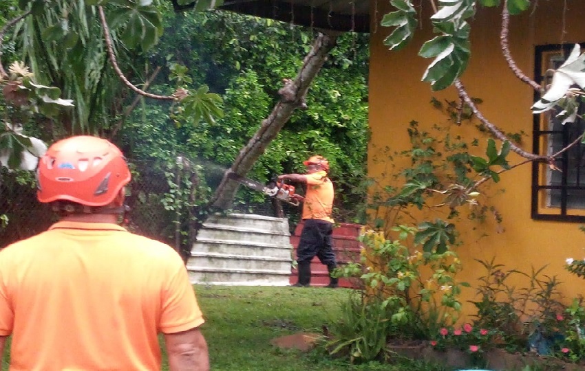 Una de las viviendas afectdas en Veraguas por la caída de un árbol. Foto. Sinaproc