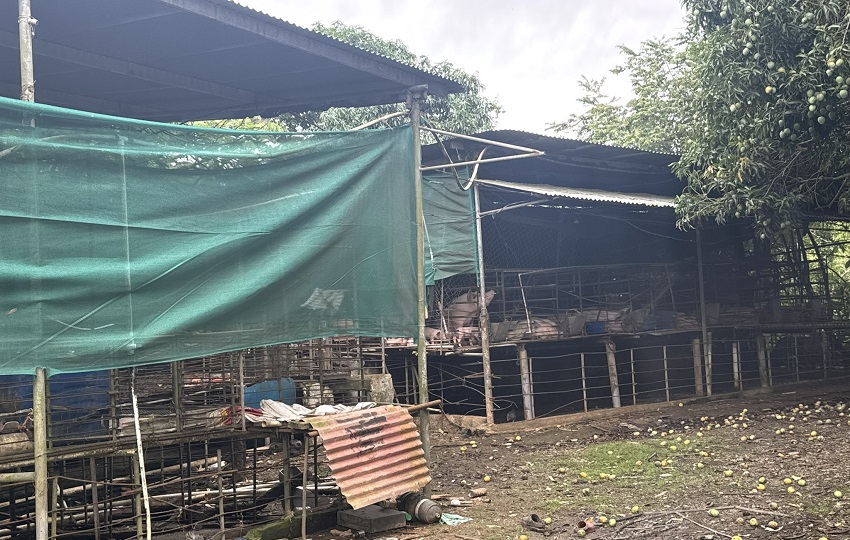 Los funcionarios inspeccionaron las porquerizas cercanas a los ríos La Villla y Estibaná. Foto. Cortesía MiAmbiente