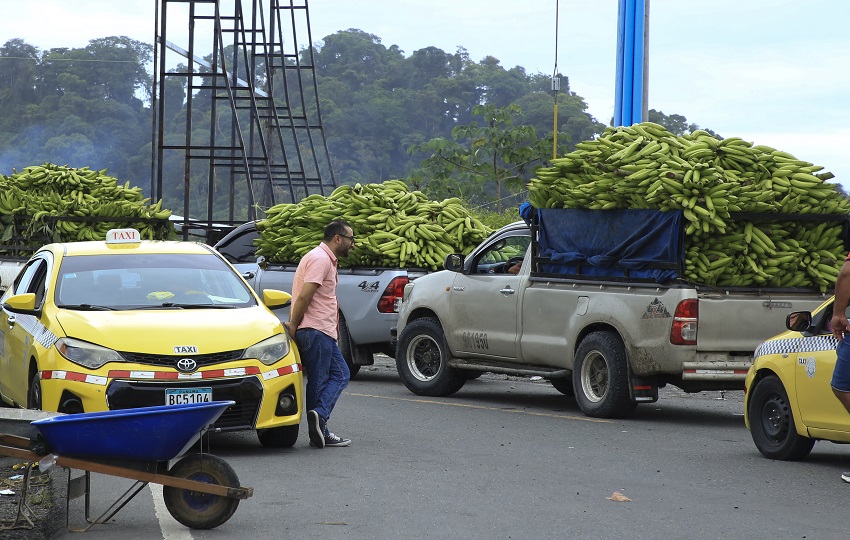 Vehículos cargados de bananos en medio del bloqueo de una carretera en Bocas del Toro. Foto: EFE