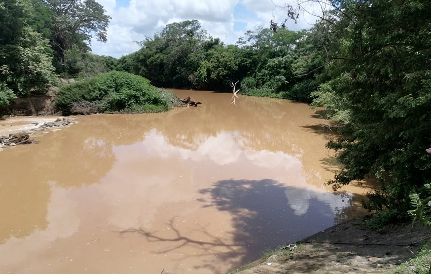 Inspecciones recientes realizadas por personal técnico de la entidad determinaron que el afluente muestra señales claras de recuperación. Foto. Thays Dominguez