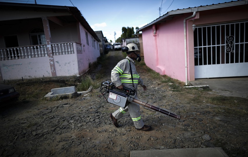 La co-circulación de los cuatro serotipos de dengue en Panamá aumenta la ocurrencia de casos graves. Foto: EFE/ Bienvenido Velasco