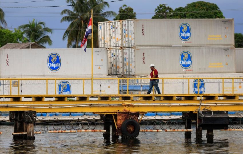 La empresa Chiquita sufrió pérdidas millonarias. Foto: EFE