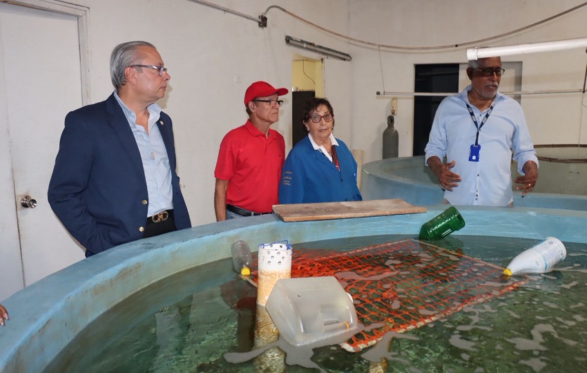 Este laboratorio, que mantiene una estrecha colaboración científica con el Instituto Smithsonian de Investigaciones Tropicales. Foto. Cortesía. ARAP Este laboratorio, que mantiene una estrecha colaboración científica con el Instituto Smithsonian de Investigaciones Tropicales. Foto. Cortesía. ARAP