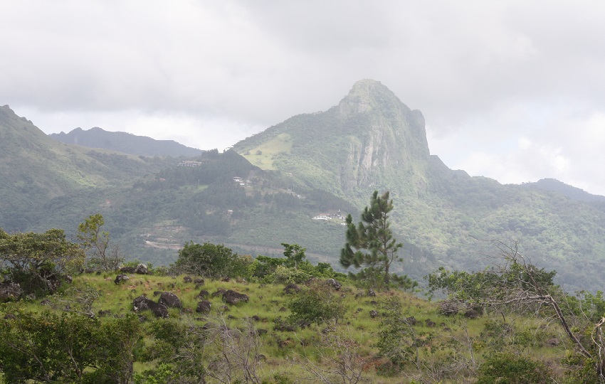 En Cirí Grande, corregimiento de El Cacao, entre las montañas de Capira, Cristina Sánchez de Miranda, una emprendedora turística, opera el restaurante “El Mirador”. Foto. Eric Montenegro