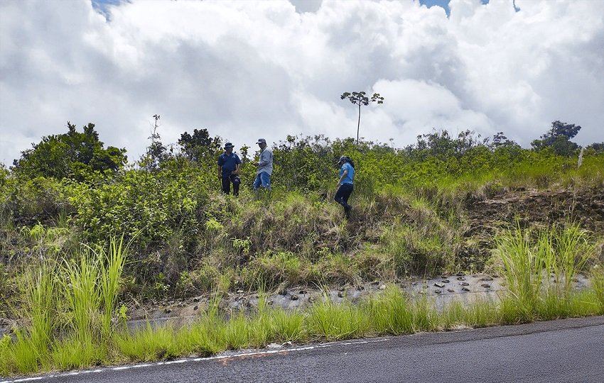 Durante una inspección en el sitio, personal técnico de MiAmbiente sorprendió a un grupo realizando trabajos de levantamiento topográfico de forma ilegal. Foto. MiAmbiente