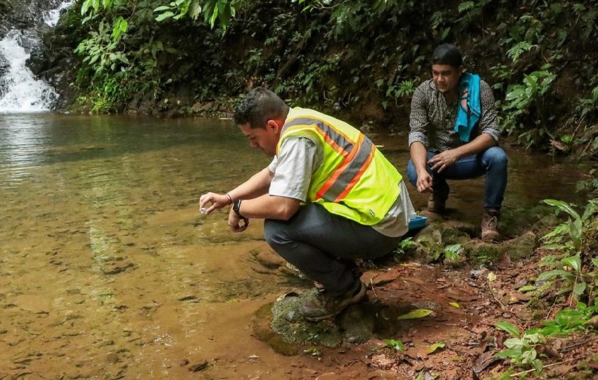 Existen cinco expedientes adicionales en investigación, entre ellos a Finca Luis Martínez; Central de Engorde, S.A.; Porcinalanda, S.A.; Lechería Medrano; Finca Porcina Nobel Samaniego; y Lechería Barría. Foto. Thays Domínguez